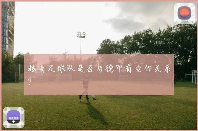 越南足球队是否与德甲有合作关系？