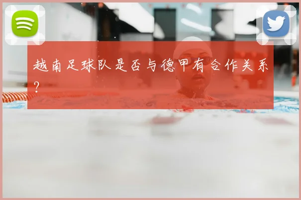 越南足球队是否与德甲有合作关系？