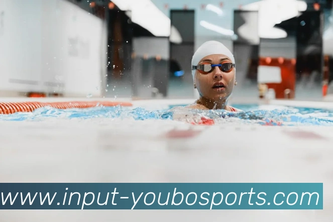 友博体育平台生态图